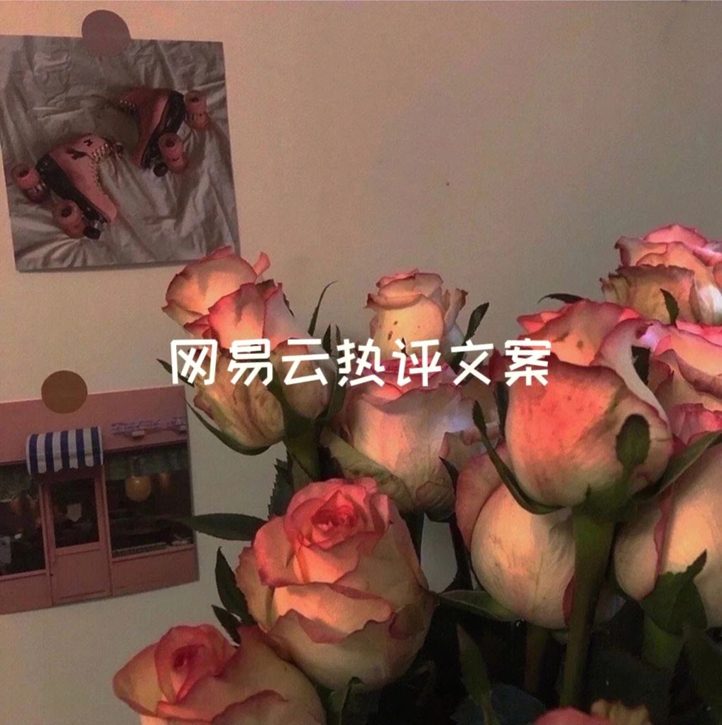 網易云熱評